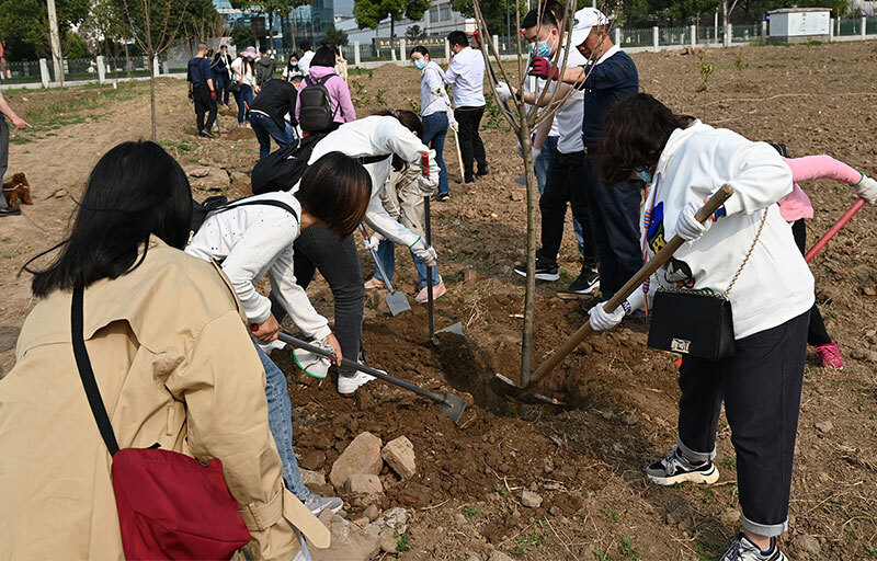 3月金堂慈济植树活动